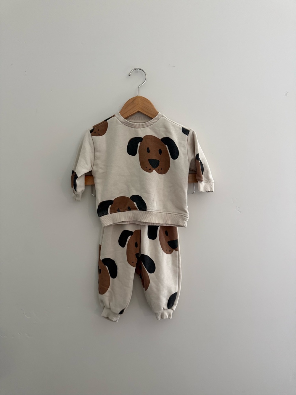 Zara 6-9 HSA Puppy Set